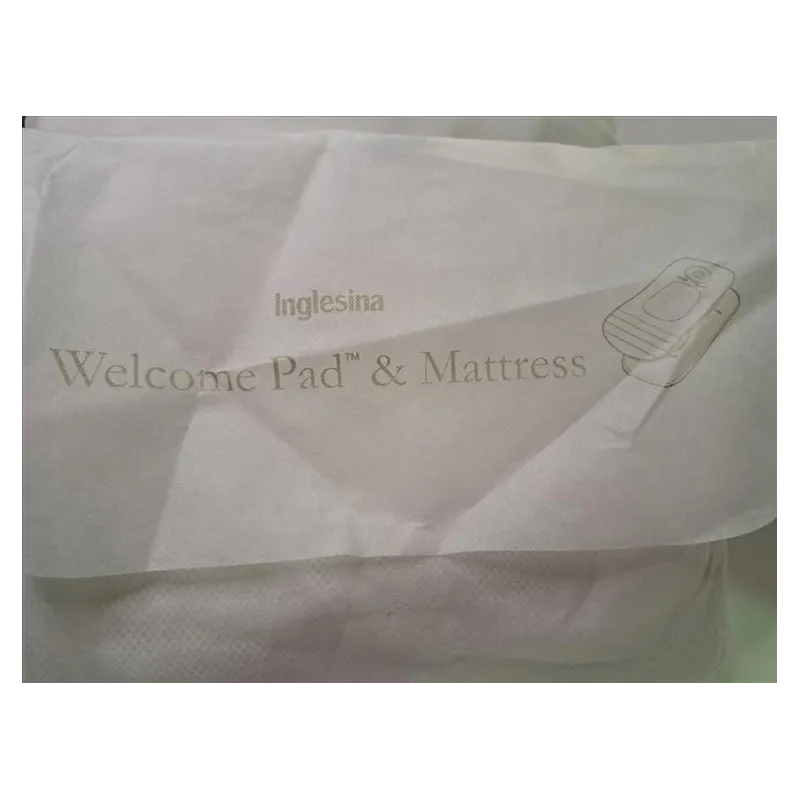 Materasso INGLESINA - Welcome Pad & Mattress + Materasso In Regalo