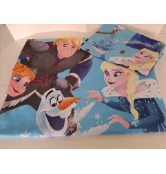 Lenzuolo Letto Frozen 135x200 + Federa Maxi Cuscino