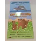 Guardo Leggo Scopro Gli Animali Della Montagna E Gli Animali Del Mare 2 PZ