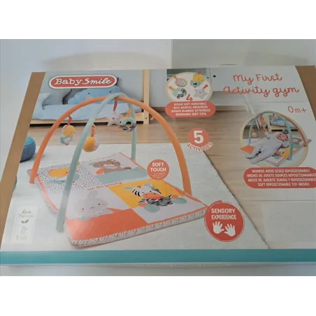 Palestrina Con Tappeto e Arco Gioco Baby Smile Mai Usata