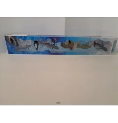 Animali Marini Nuovi