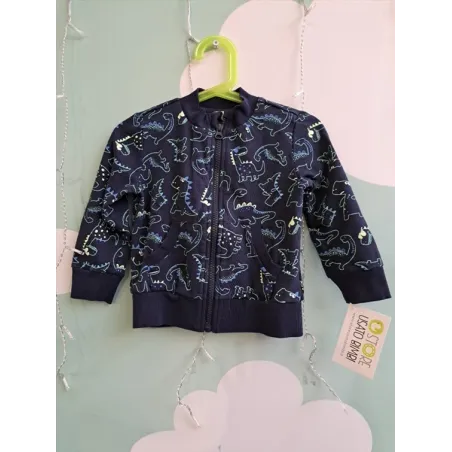 Felpa Blu Dinosauri Chicco 2 A