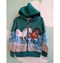 Felpa Cavalli 6 A Nuova