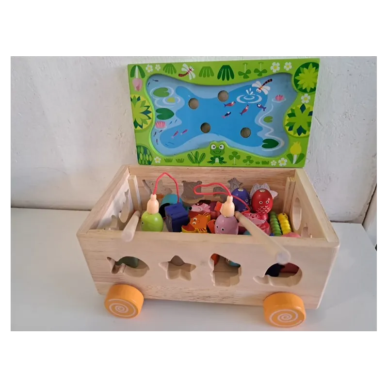 Gioco Pesca Magnetica E Incastri In Legno