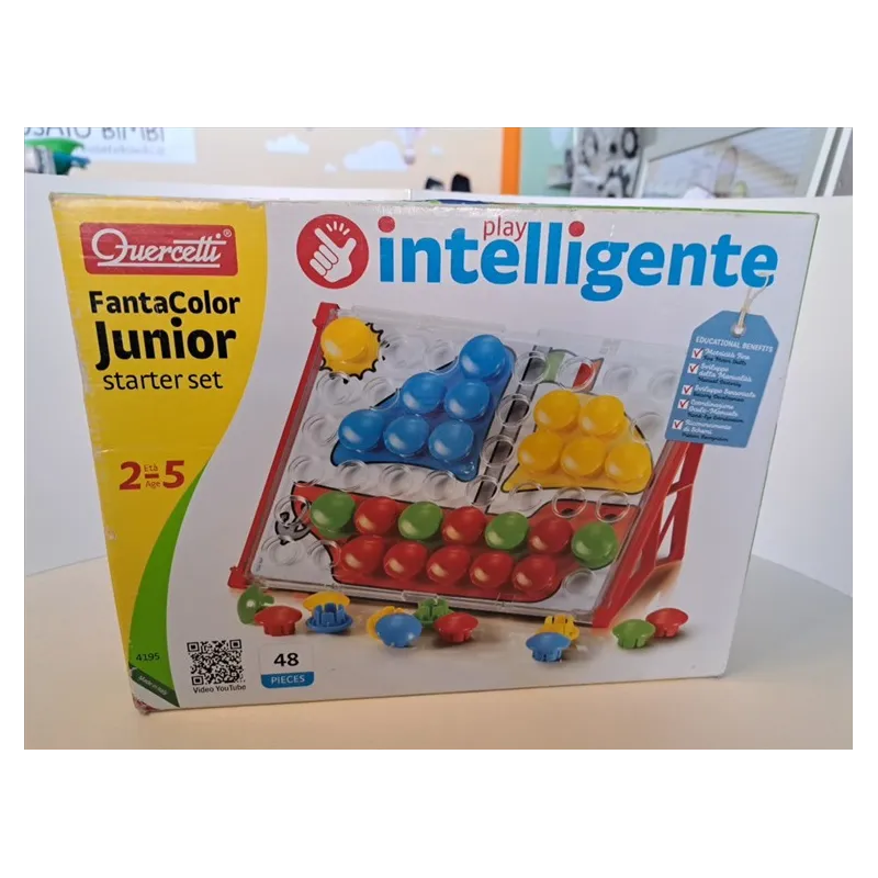 Gioco Chiodi Grossi Quercetti