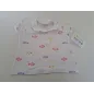 Polo Pesciolini 12/19 M