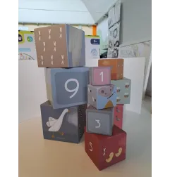 Cubi Impilabili Little Dutch - Bellissimi
