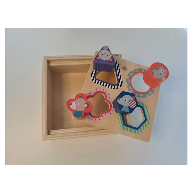 Gioco Incastri Scatola In Legno