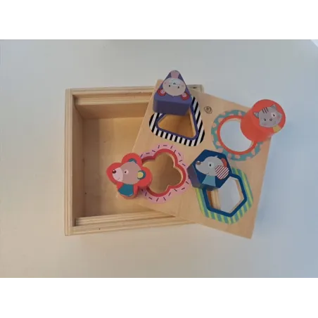 Gioco Incastri Scatola In Legno