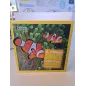 Libro Oceani National Geographic Kids