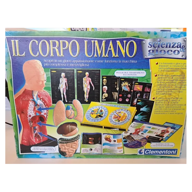 Carte Giganti Barbapapà 10 Giochi (memory, Rubamazzetto, Etc..)