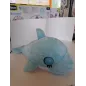 Delfino Apre e Chiude Occhi e Fa Suoni Dolcissimo
