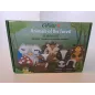 Gioco Set Cucito Bambini Educativo Animali Del Bosco In Feltro
