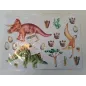 Adesivi Dinosauri Per Cameretta