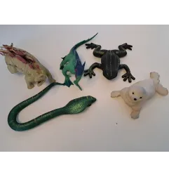 Animali Mollicci