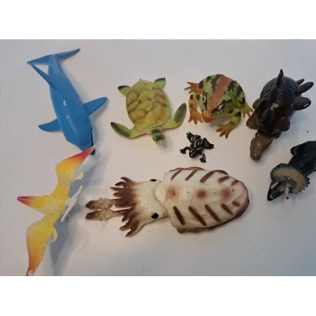 Animali Misti