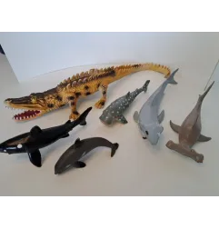 Animali Acqua Squali e Coccodrillo