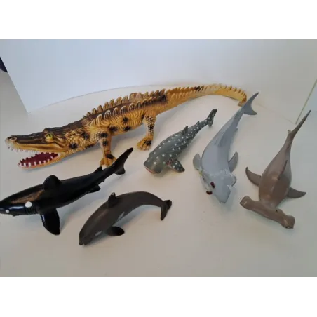 Animali Acqua Squali e Coccodrillo