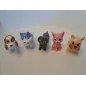 Cagnolini