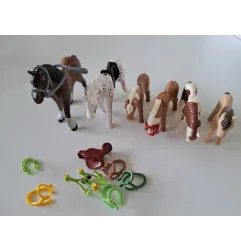 Famiglia Cavallini