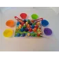 Pesca Magnetica In Legno Api E Pesci + Gioco Di Associazione Colori