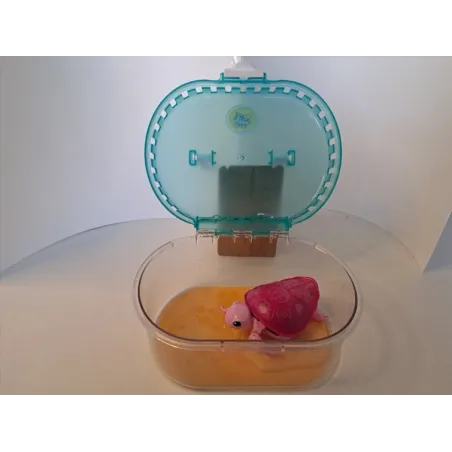 Tartaruga Rosa Con Vaschetta