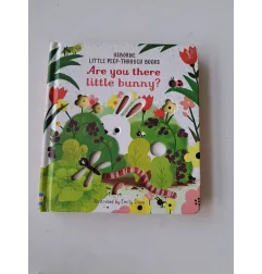Libro Usborne In Inglese Are You There Little Bunny?