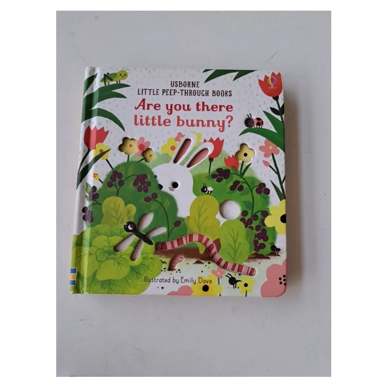 Libro Usborne In Inglese Are You There Little Bunny?