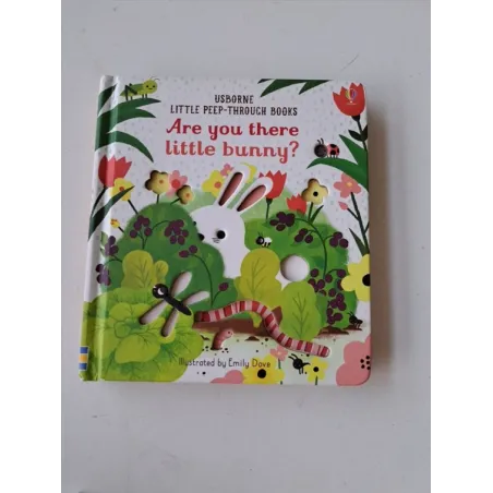 Libro Usborne In Inglese Are You There Little Bunny?